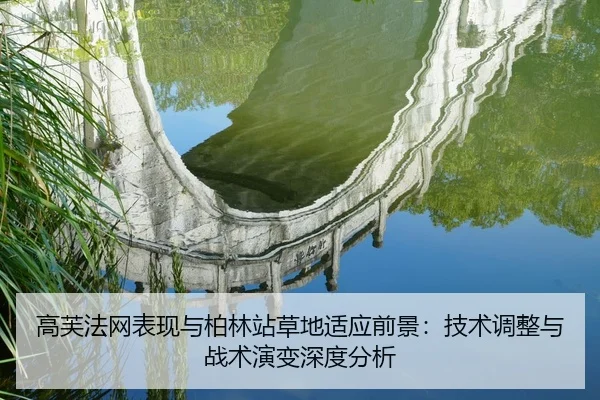 gao-fu-fa-wang-biao-xian-yu-bo-lin-zhan-cao-di-shi-ying-qian-jing-ji-shu-tiao-zheng-yu-zhan-shu-yan-bian-shen-du-fen-xi-2-186.jpg