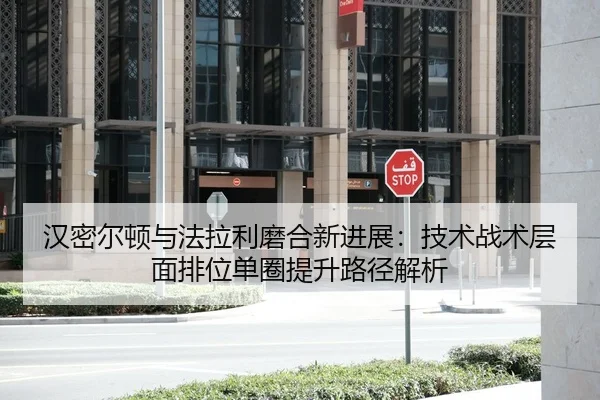 han-mi-er-dun-yu-fa-la-li-mo-he-xin-jin-zhan-ji-shu-zhan-shu-ceng-mian-pai-wei-dan-quan-ti-sheng-lu-jing-jie-xi-1-821.jpg